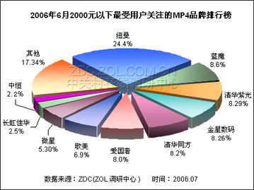 國產(chǎn)MP4廠商包攬低端市場全席 市場調(diào)查分析